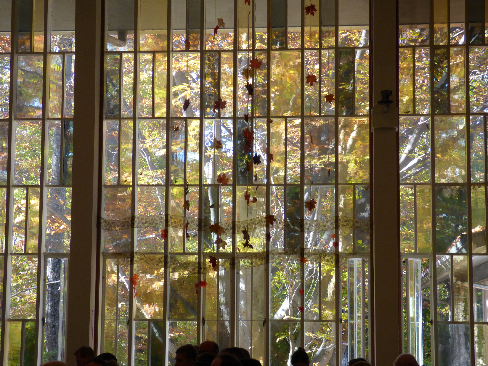 looking out the Cedar Lane Sanctuary Windows during a sunny fall day